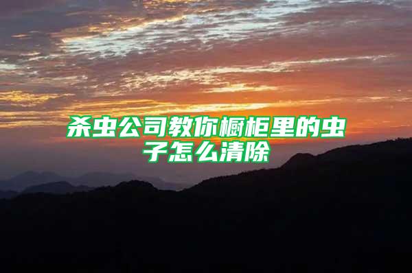 殺蟲公司教你櫥柜里的蟲子怎么清除