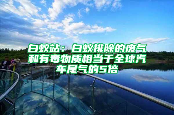 白蟻站：白蟻排除的廢氣和有毒物質(zhì)相當(dāng)于全球汽車尾氣的5倍