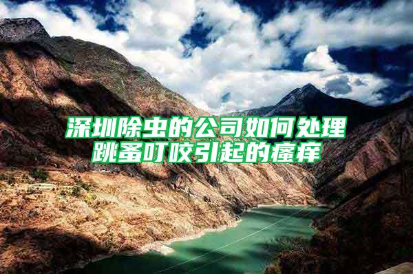 深圳除蟲的公司如何處理跳蚤叮咬引起的瘙癢