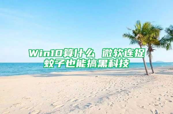 Win10算什么 微軟連捉蚊子也能搞黑科技