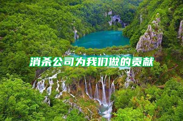 消殺公司為我們做的貢獻(xiàn)