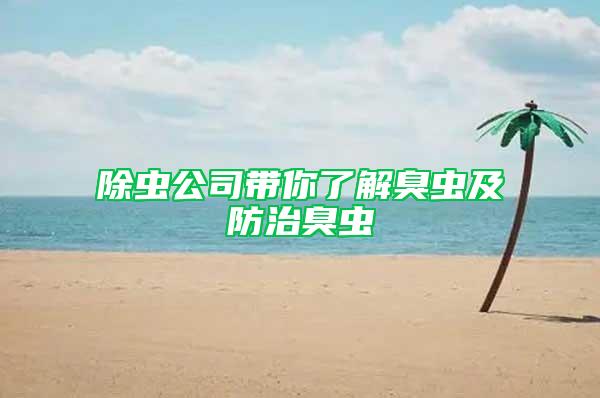 除蟲公司帶你了解臭蟲及防治臭蟲