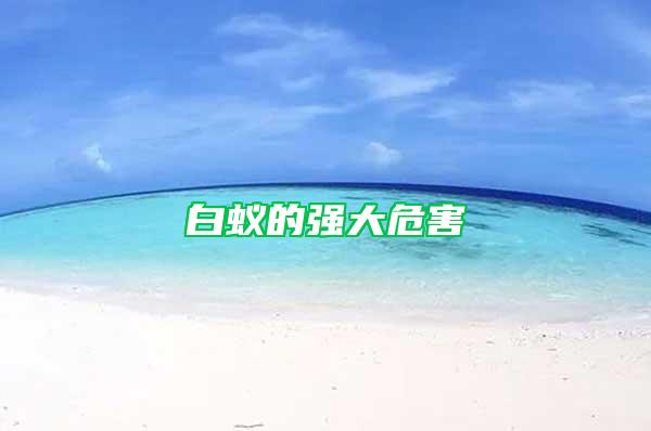 白蟻的強(qiáng)大危害