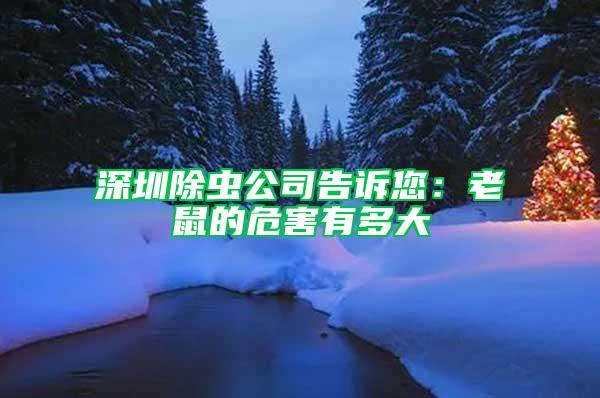 深圳除蟲公司告訴您：老鼠的危害有多大