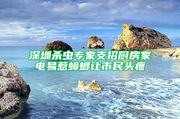 深圳殺蟲專家支招廚房家電易惹蟑螂讓市民頭疼