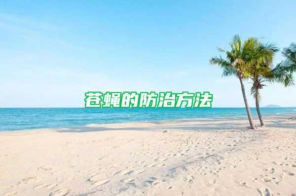 蒼蠅的防治方法