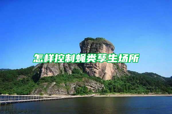 怎樣控制蠅類孳生場所