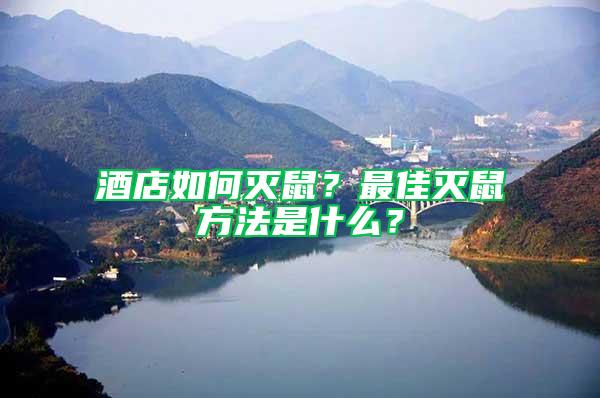 酒店如何滅鼠？最佳滅鼠方法是什么？