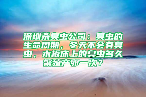 深圳殺臭蟲公司：臭蟲的生命周期，冬天不會有臭蟲，木板床上的臭蟲多久繁殖產(chǎn)卵一次？