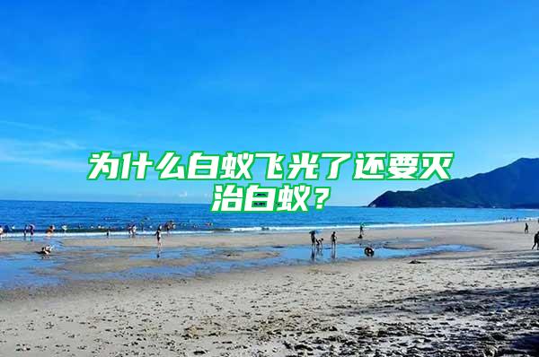 為什么白蟻飛光了還要滅治白蟻？