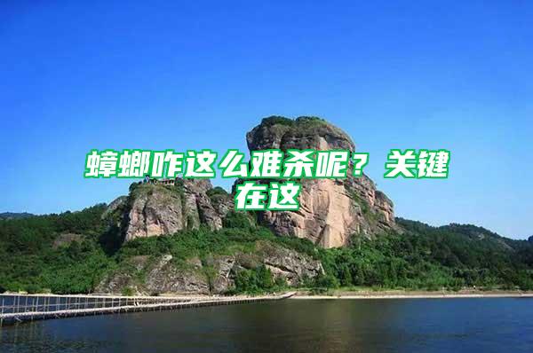 蟑螂咋這么難殺呢？關(guān)鍵在這