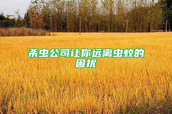 殺蟲公司讓你遠(yuǎn)離蟲蚊的困擾