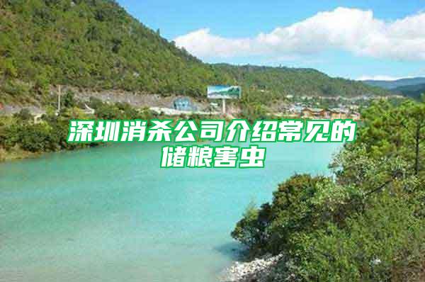 深圳消殺公司介紹常見的儲糧害蟲