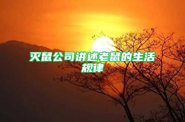 滅鼠公司講述老鼠的生活規(guī)律