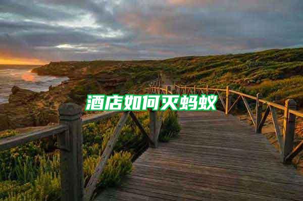 酒店如何滅螞蟻