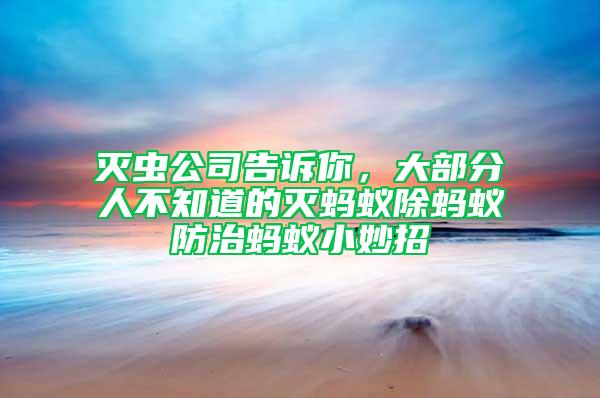 滅蟲公司告訴你，大部分人不知道的滅螞蟻除螞蟻防治螞蟻小妙招