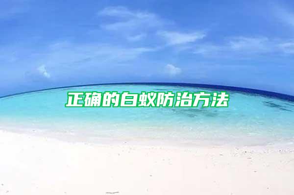 正確的白蟻防治方法