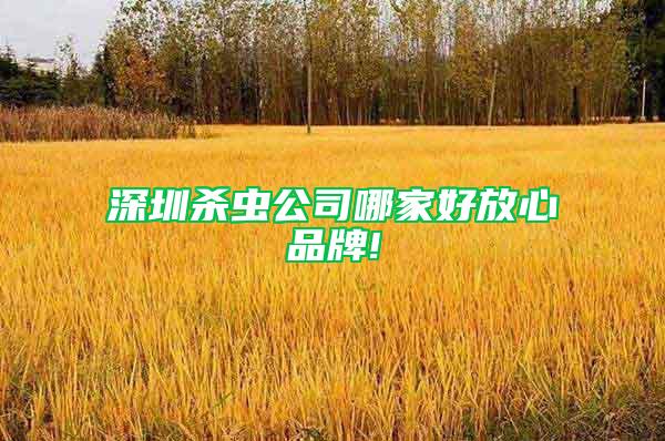 深圳殺蟲(chóng)公司哪家好放心品牌!