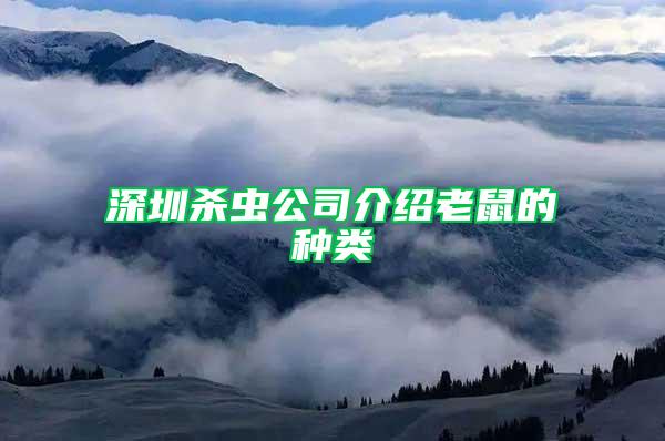 深圳殺蟲公司介紹老鼠的種類