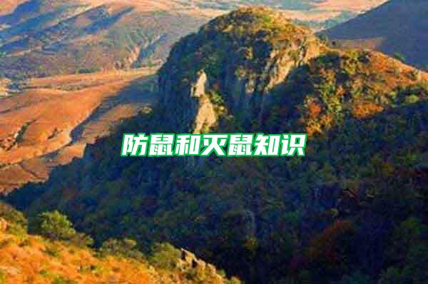 防鼠和滅鼠知識(shí)
