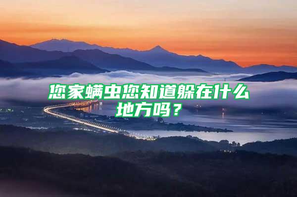 您家螨蟲您知道躲在什么地方嗎？