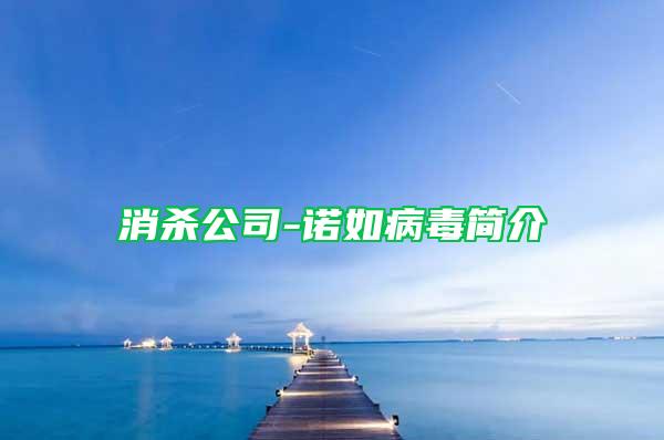 消殺公司-諾如病毒簡(jiǎn)介