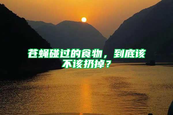 蒼蠅碰過的食物，到底該不該扔掉？