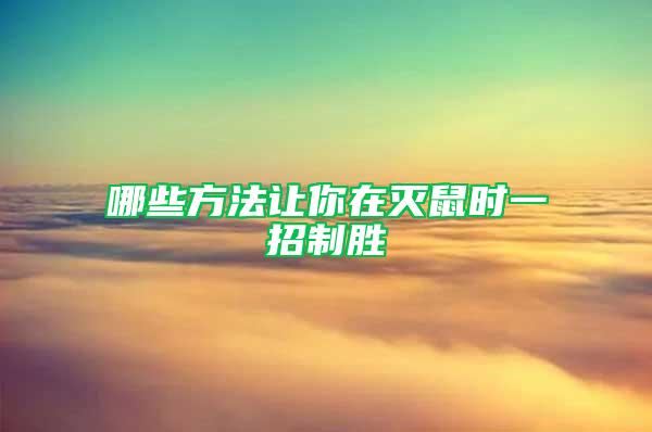 哪些方法讓你在滅鼠時一招制勝
