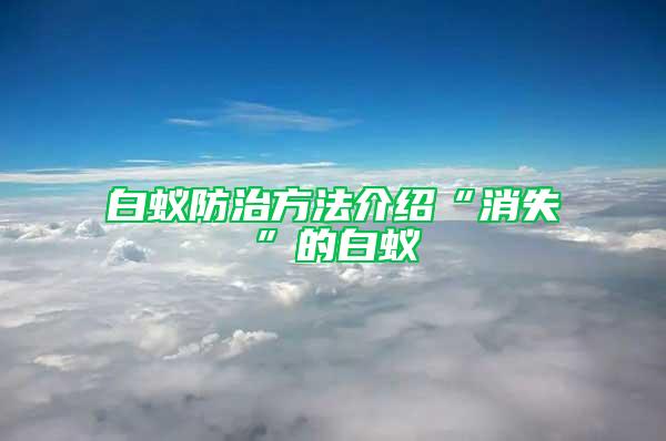 白蟻防治方法介紹“消失”的白蟻