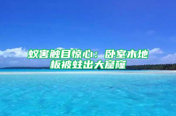 蟻害觸目驚心：臥室木地板被蛀出大窟窿