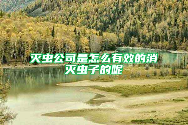 滅蟲公司是怎么有效的消滅蟲子的呢