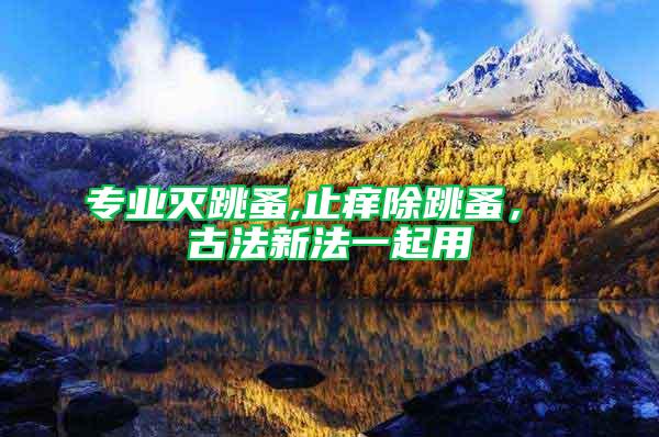 專業(yè)滅跳蚤,止癢除跳蚤， 古法新法一起用