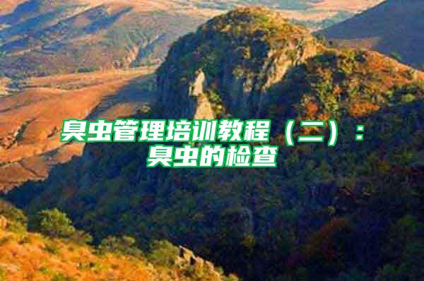 臭蟲管理培訓(xùn)教程（二）：臭蟲的檢查