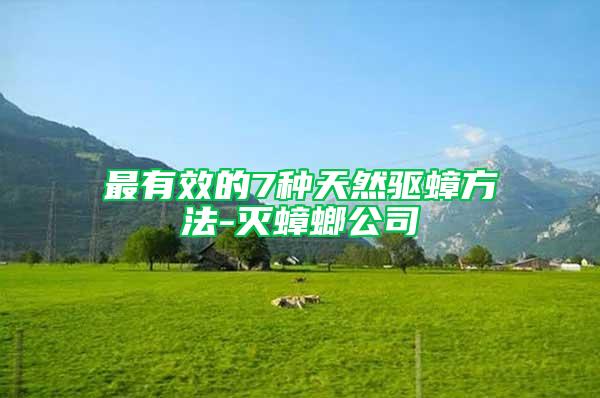最有效的7種天然驅(qū)蟑方法-滅蟑螂公司