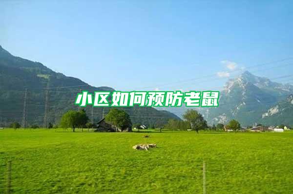 小區(qū)如何預防老鼠