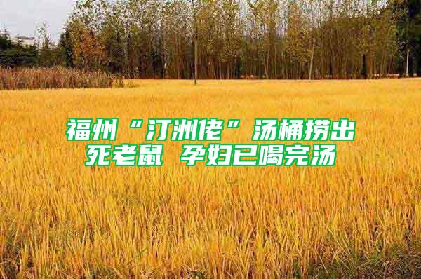 福州“汀洲佬”湯桶撈出死老鼠 孕婦已喝完湯