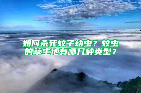 如何殺死蚊子幼蟲？蚊蟲的孳生地有哪幾種類型？