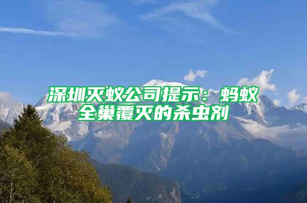 深圳滅蟻公司提示：螞蟻全巢覆滅的殺蟲劑