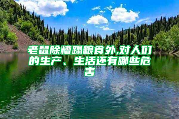 老鼠除糟蹋糧食外,對(duì)人們的生產(chǎn)、生活還有哪些危害
