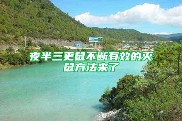 夜半三更鼠不斷有效的滅鼠方法來(lái)了