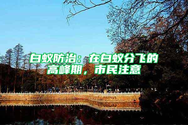 白蟻防治：在白蟻分飛的高峰期，市民注意