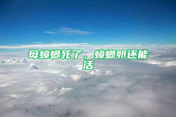 母蟑螂死了，蟑螂卵還能活