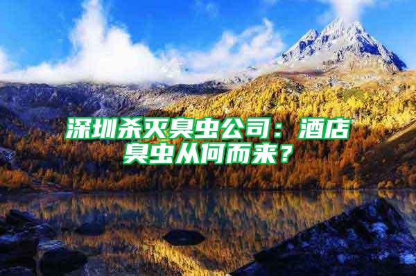 深圳殺滅臭蟲公司：酒店臭蟲從何而來？