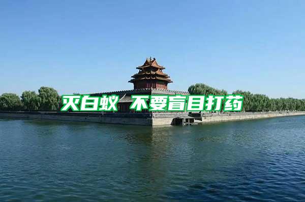 滅白蟻 不要盲目打藥