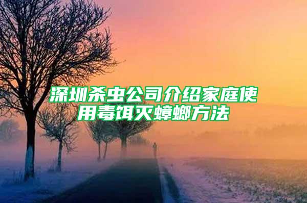 深圳殺蟲(chóng)公司介紹家庭使用毒餌滅蟑螂方法