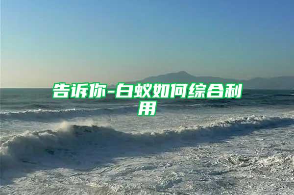 告訴你-白蟻如何綜合利用