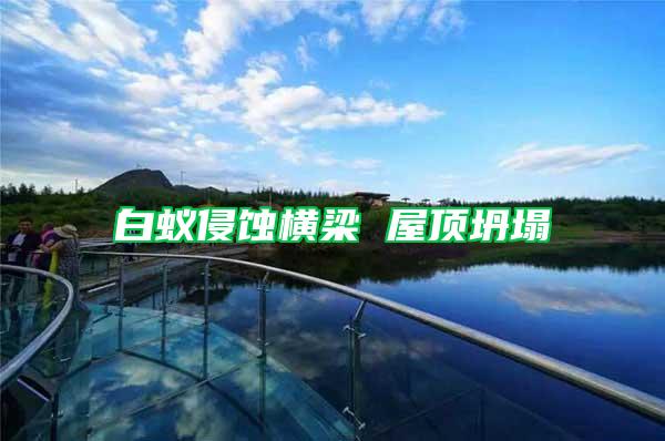 白蟻侵蝕橫梁 屋頂坍塌