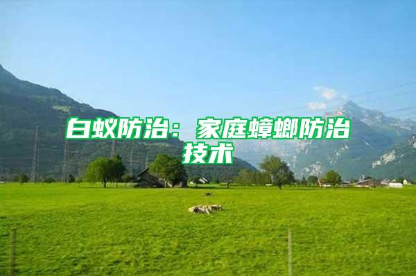 白蟻防治：家庭蟑螂防治技術(shù)