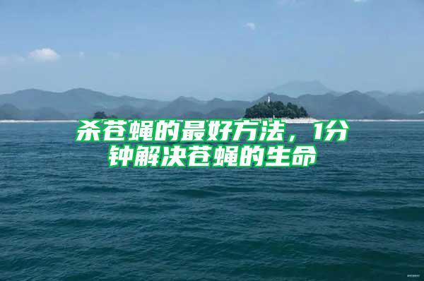 殺蒼蠅的最好方法，1分鐘解決蒼蠅的生命