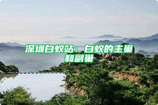 深圳白蟻站：白蟻的主巢和副巢